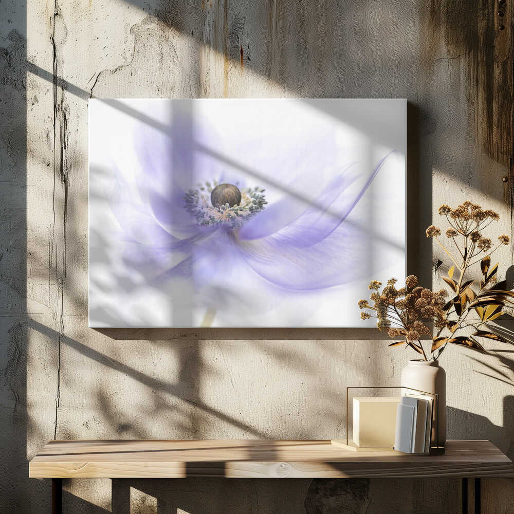 Soft Lavender Anemone - Floral Photographic Stretched Canvas Poster or Fine Art Print