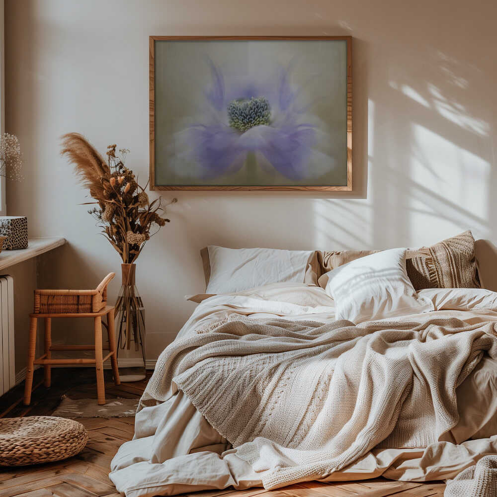 Soft Lavender Bloom - Floral Photographic Stretched Canvas Poster or Fine Art Print