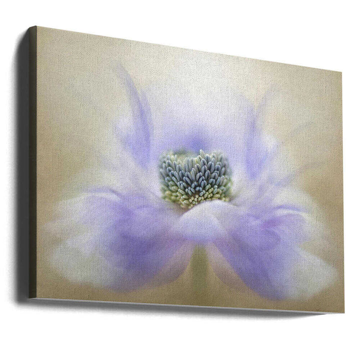Soft Lavender Bloom - Floral Photographic Stretched Canvas Poster or Fine Art Print