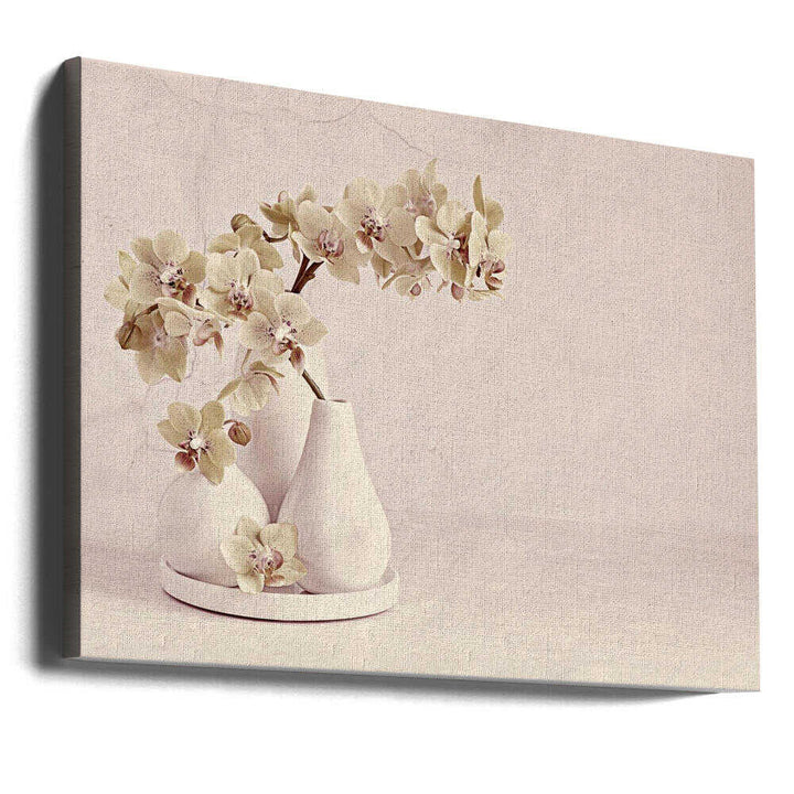 Soft Orchid Still Life - Floral Photographic Stretched Canvas Poster or Fine Art Print