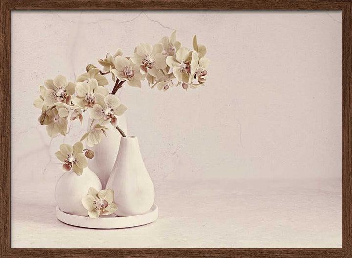 Soft Orchid Still Life - Floral Photographic Stretched Canvas Poster or Fine Art Print