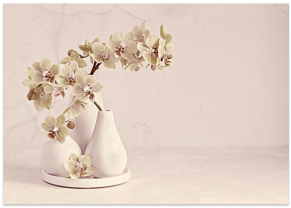 Soft Orchid Still Life - Floral Photographic Stretched Canvas Poster or Fine Art Print
