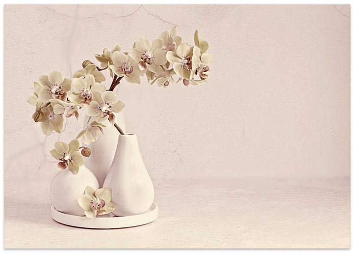 Soft Orchid Still Life - Floral Photographic Stretched Canvas Poster or Fine Art Print
