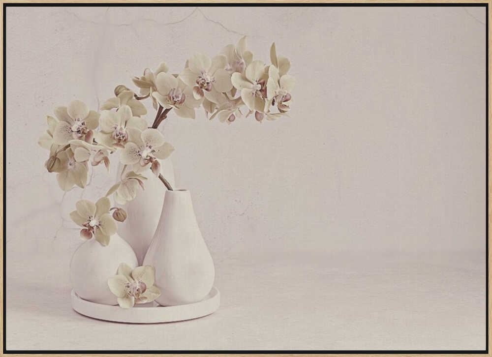 Soft Orchid Still Life - Floral Photographic Stretched Canvas Poster or Fine Art Print