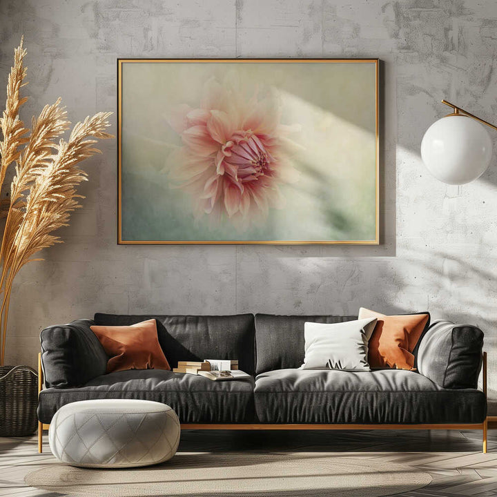 Soft Peach Dahlia - Floral Photographic Stretched Canvas Poster or Fine Art Print
