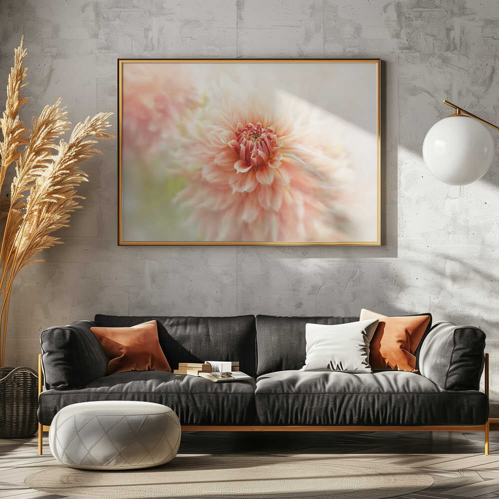 Soft Peach Dahlia - Floral Photographic Stretched Canvas Poster or Fine Art Print