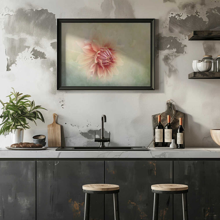 Soft Peach Dahlia - Floral Photographic Stretched Canvas Poster or Fine Art Print