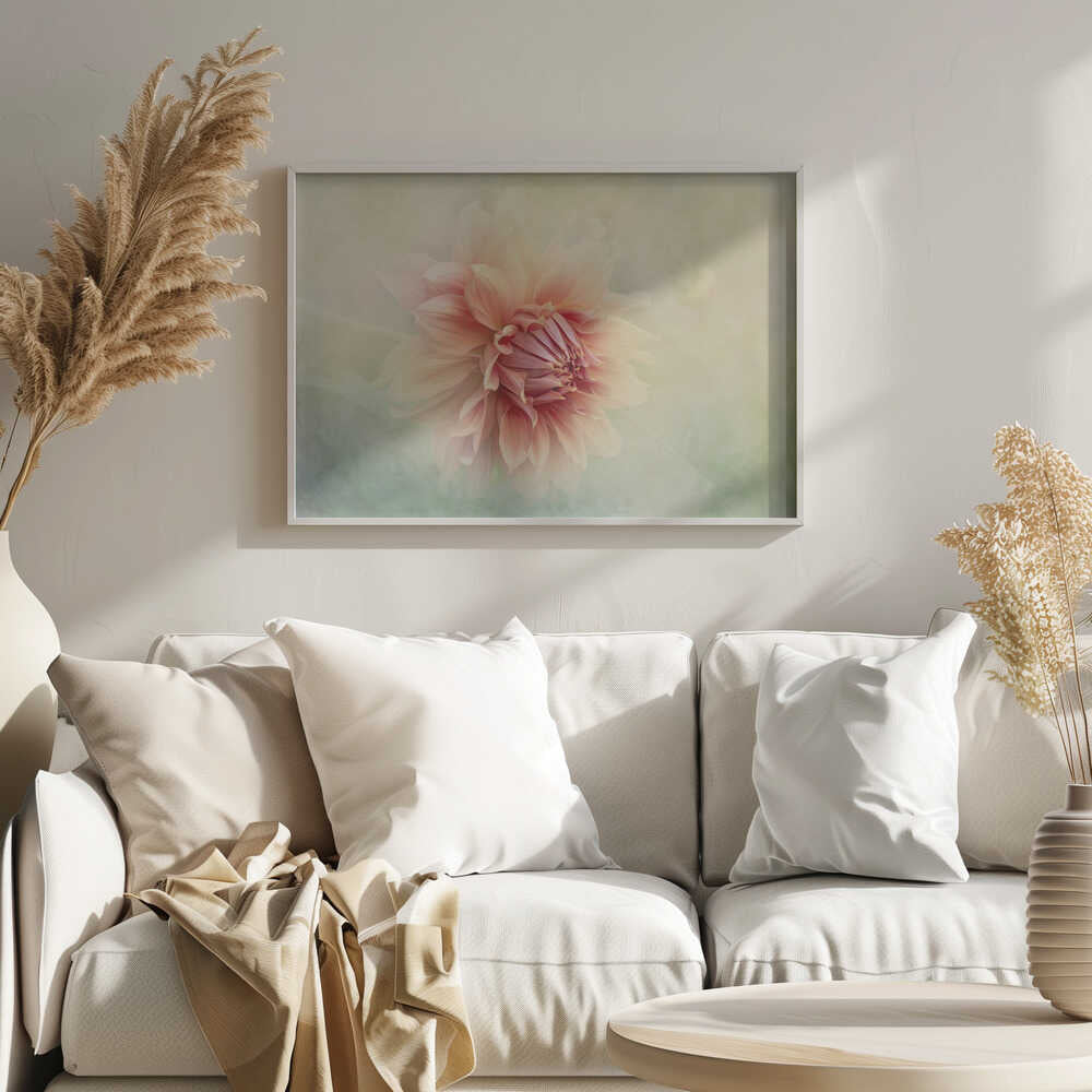 Soft Peach Dahlia - Floral Photographic Stretched Canvas Poster or Fine Art Print