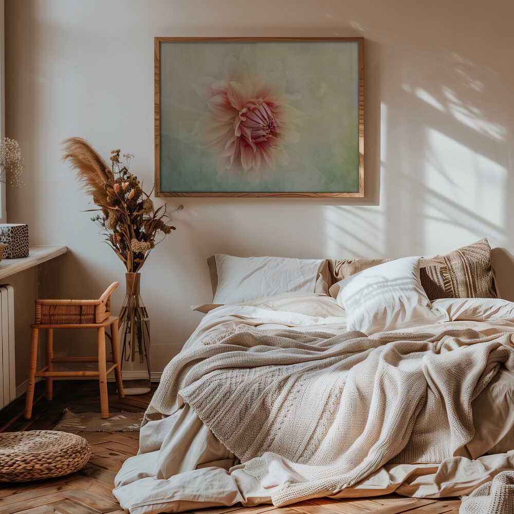 Soft Peach Dahlia - Floral Photographic Stretched Canvas Poster or Fine Art Print