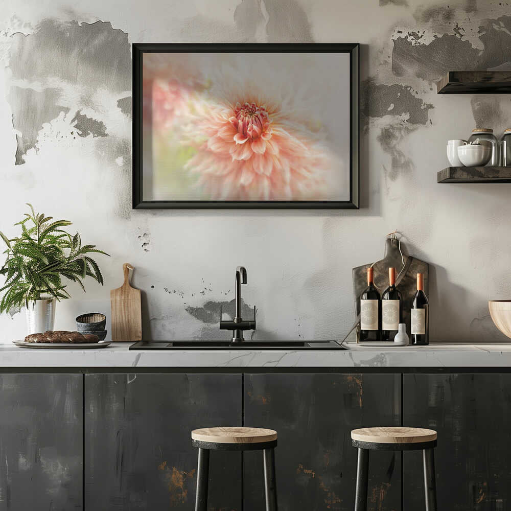 Soft Peach Dahlia - Floral Photographic Stretched Canvas Poster or Fine Art Print