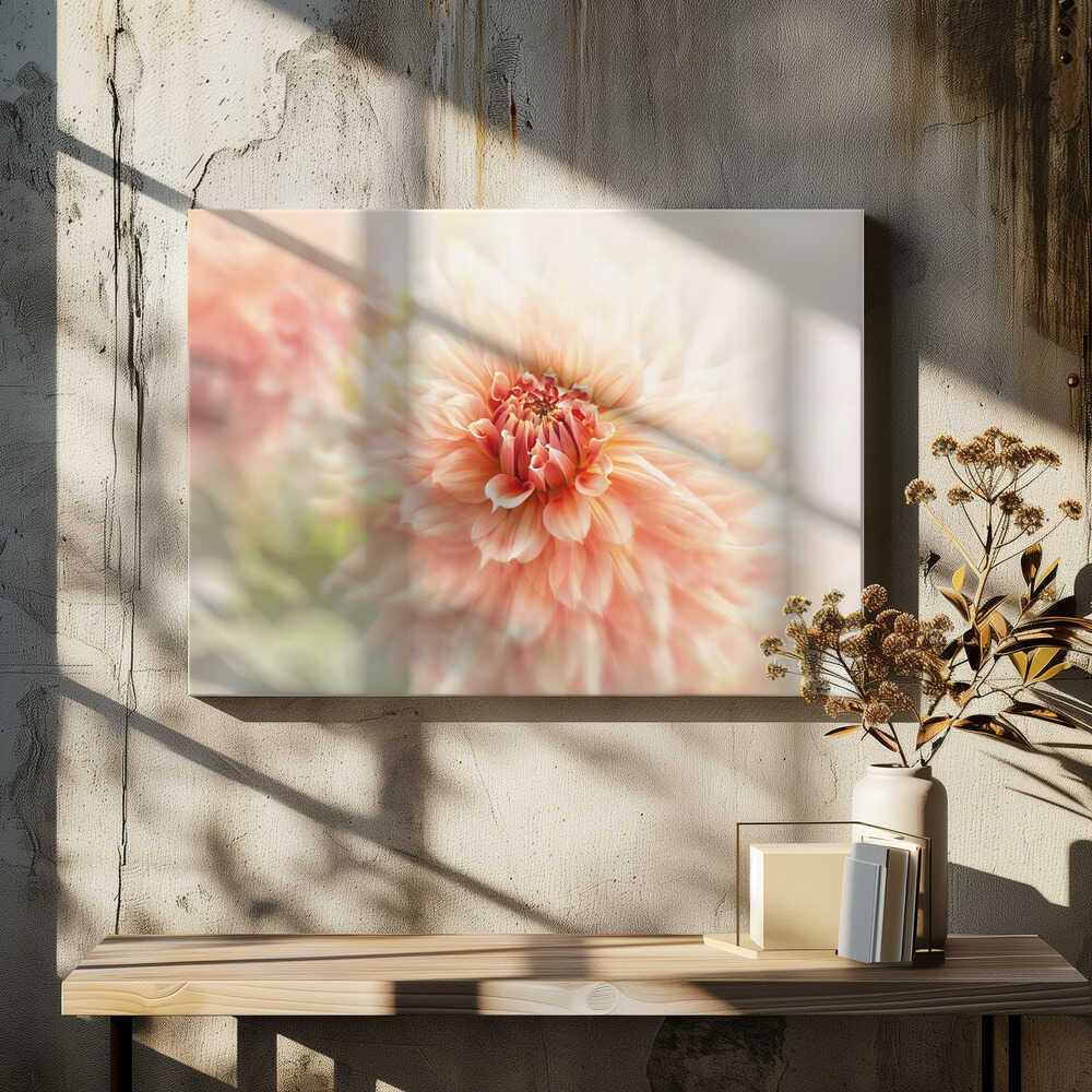Soft Peach Dahlia - Floral Photographic Stretched Canvas Poster or Fine Art Print