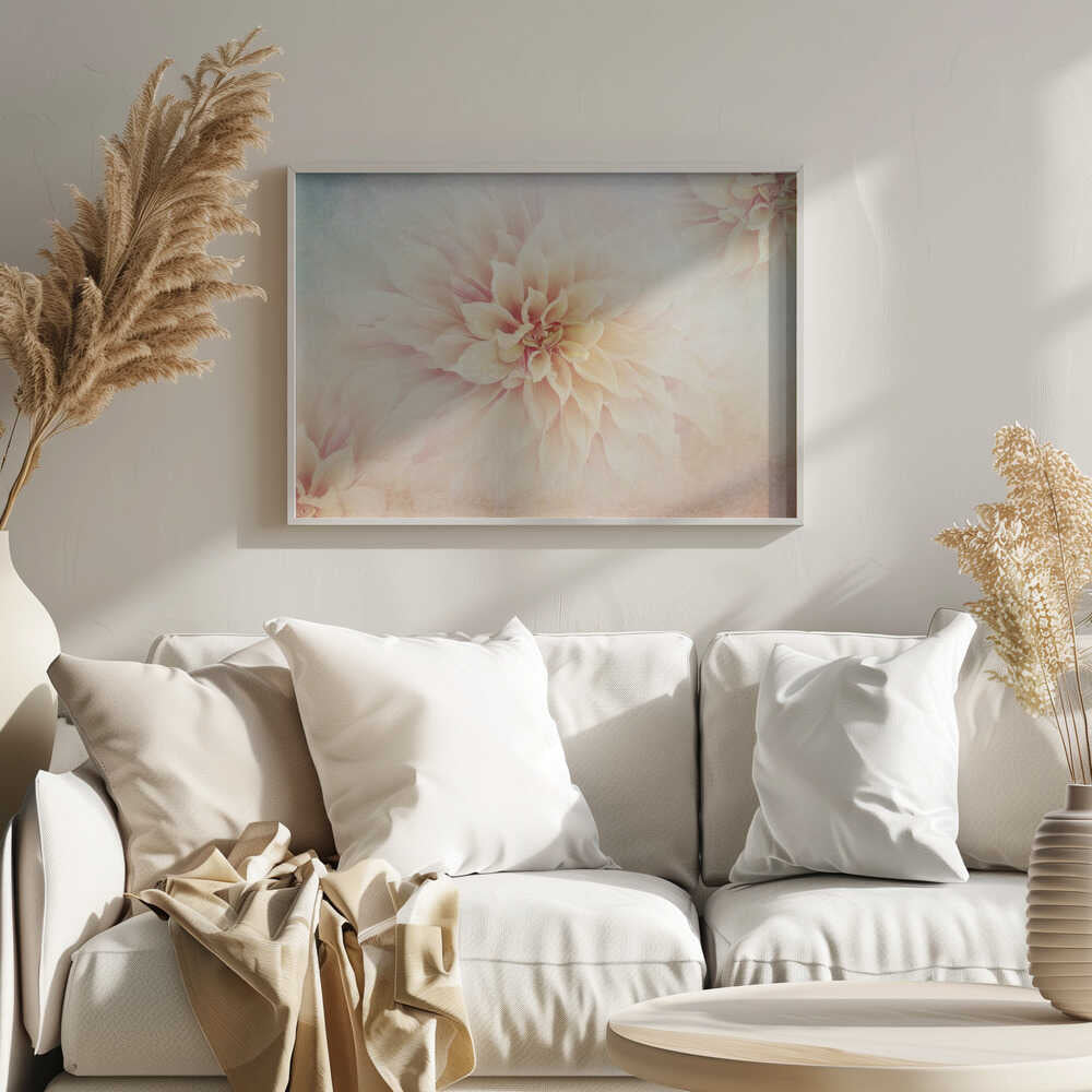 Soft Peach Dahlias - Floral Photographic Stretched Canvas Poster or Fine Art Print