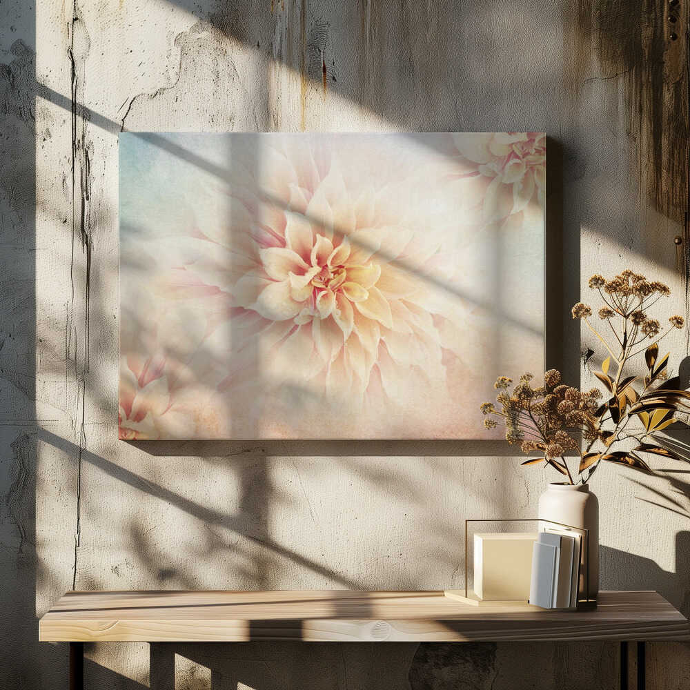 Soft Peach Dahlias - Floral Photographic Stretched Canvas Poster or Fine Art Print