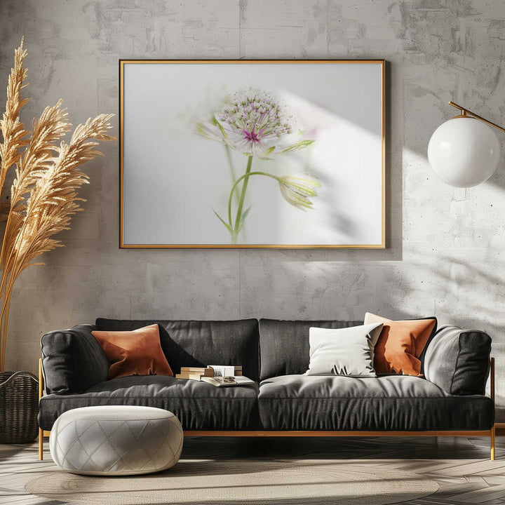 Soft Pink Bloom - Floral Photographic Stretched Canvas Poster or Fine Art Print