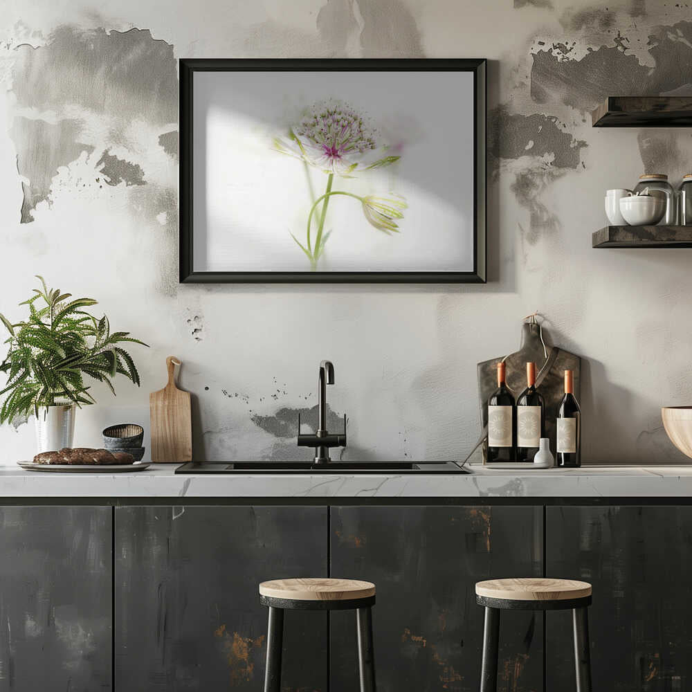 Soft Pink Bloom - Floral Photographic Stretched Canvas Poster or Fine Art Print
