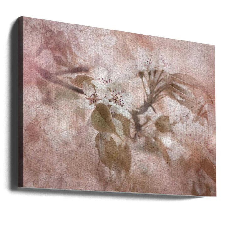 Soft Pink Blossoms - Floral Photographic Stretched Canvas Poster or Fine Art Print