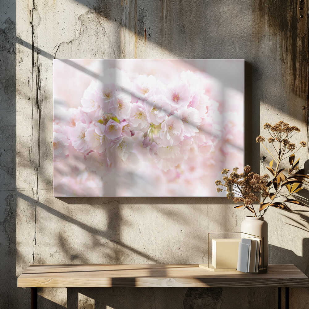 Soft Pink Blossoms - Floral Photographic Stretched Canvas Poster or Fine Art Print