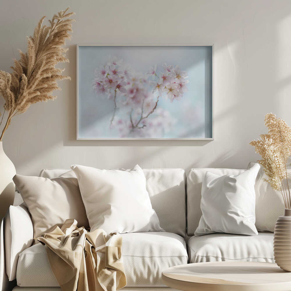Soft Pink Cherry Blossoms - Stretched Canvas Poster or Fine Art Print