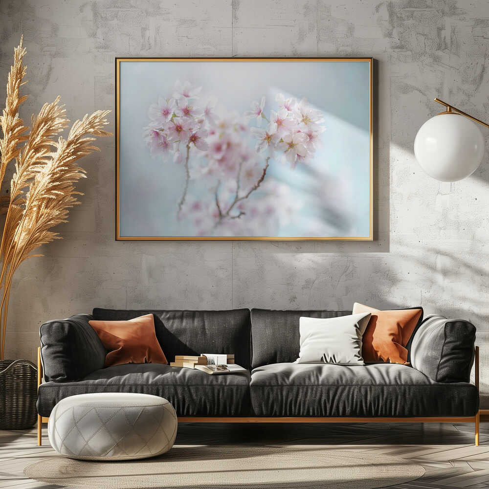 Soft Pink Cherry Blossoms - Stretched Canvas Poster or Fine Art Print