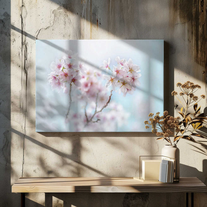Soft Pink Cherry Blossoms - Stretched Canvas Poster or Fine Art Print