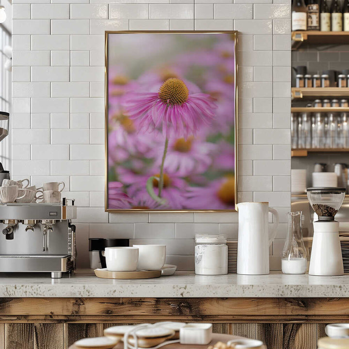 Soft Pink Coneflower - Floral Photographic Stretched Canvas Poster or Fine Art Print