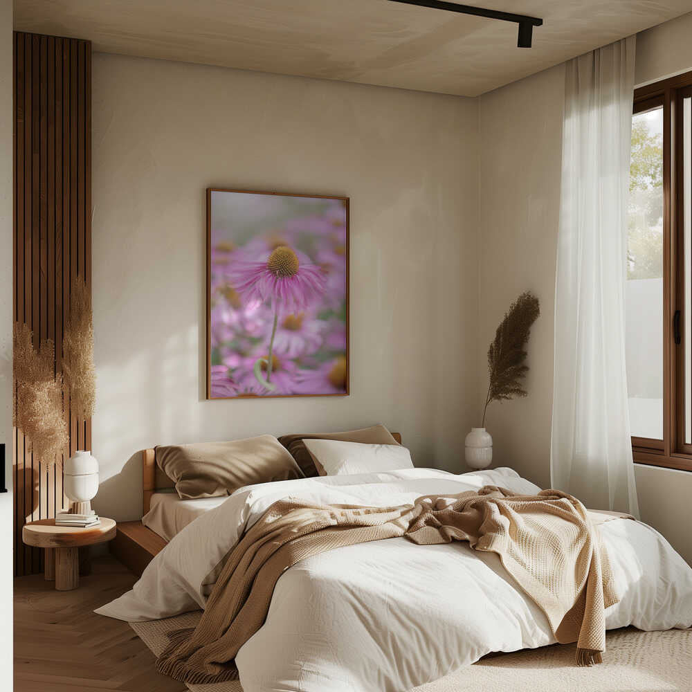 Soft Pink Coneflower - Floral Photographic Stretched Canvas Poster or Fine Art Print