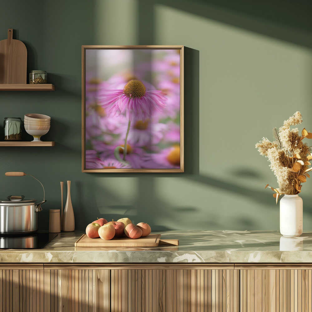 Soft Pink Coneflower - Floral Photographic Stretched Canvas Poster or Fine Art Print