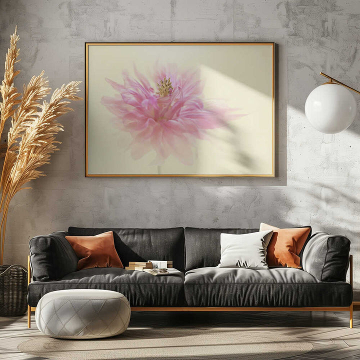 Soft Pink Dahlia - Floral Photographic Stretched Canvas Poster or Fine Art Print