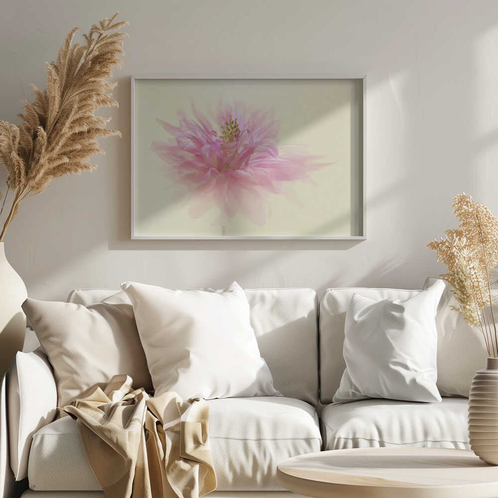 Soft Pink Dahlia - Floral Photographic Stretched Canvas Poster or Fine Art Print