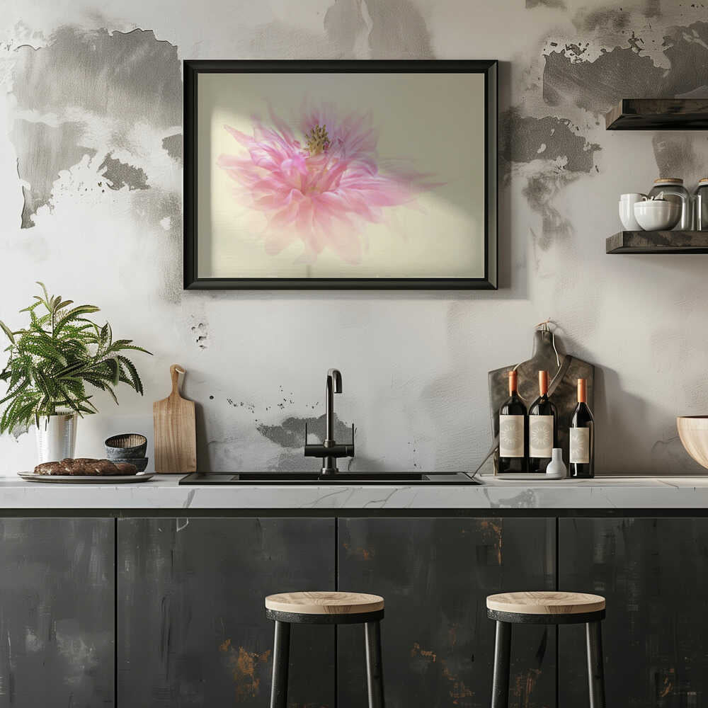 Soft Pink Dahlia - Floral Photographic Stretched Canvas Poster or Fine Art Print