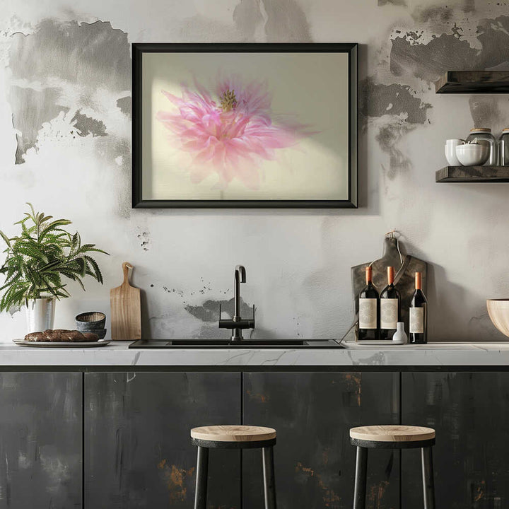 Soft Pink Dahlia - Floral Photographic Stretched Canvas Poster or Fine Art Print