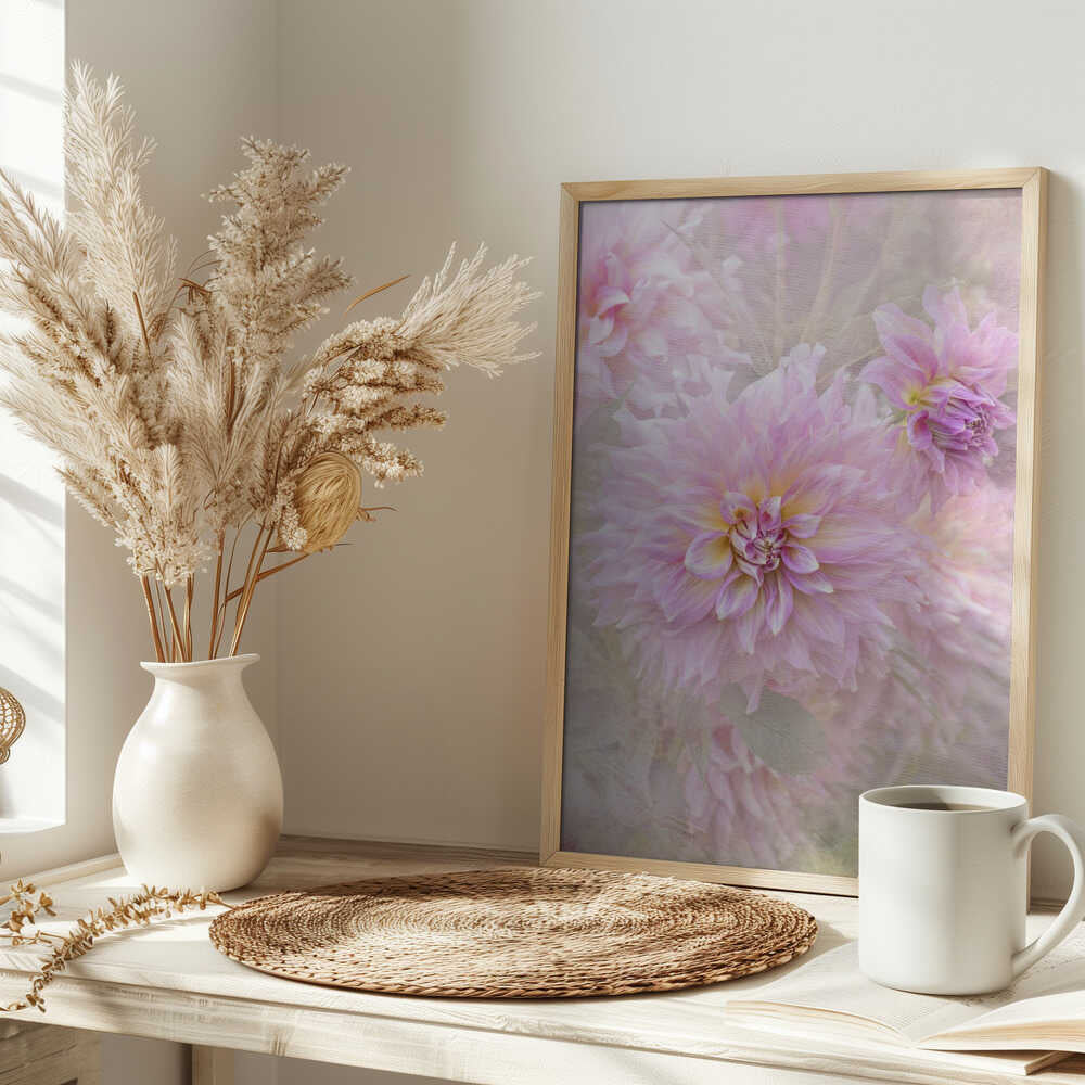Soft Pink Dahlias - Floral Photographic Stretched Canvas Poster or Fine Art Print