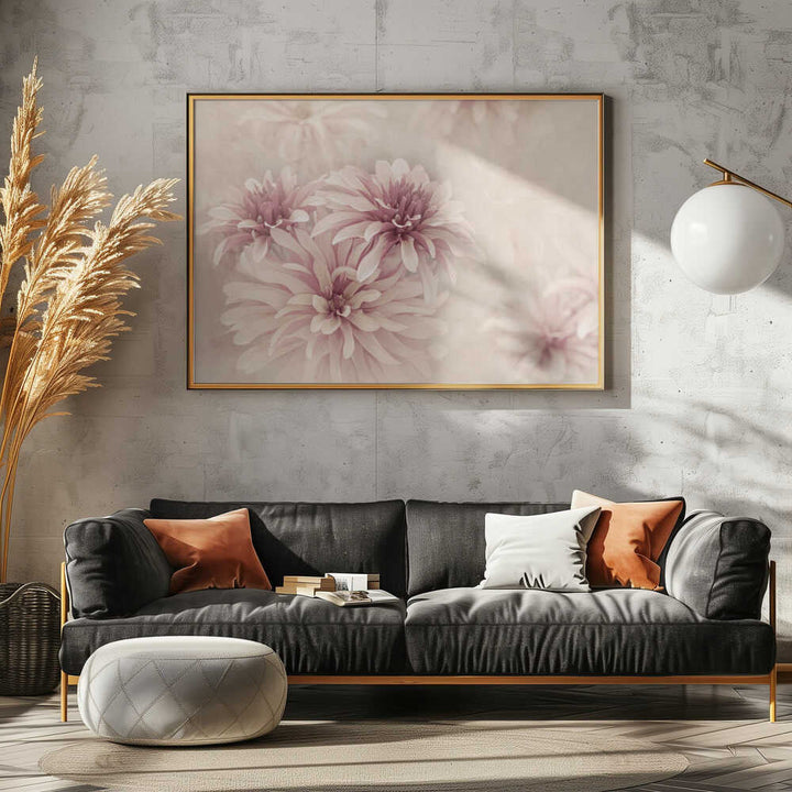 Soft Pink Dahlias - Floral Photographic Stretched Canvas Poster or Fine Art Print