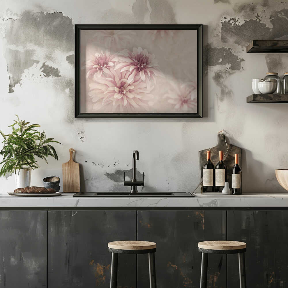 Soft Pink Dahlias - Floral Photographic Stretched Canvas Poster or Fine Art Print