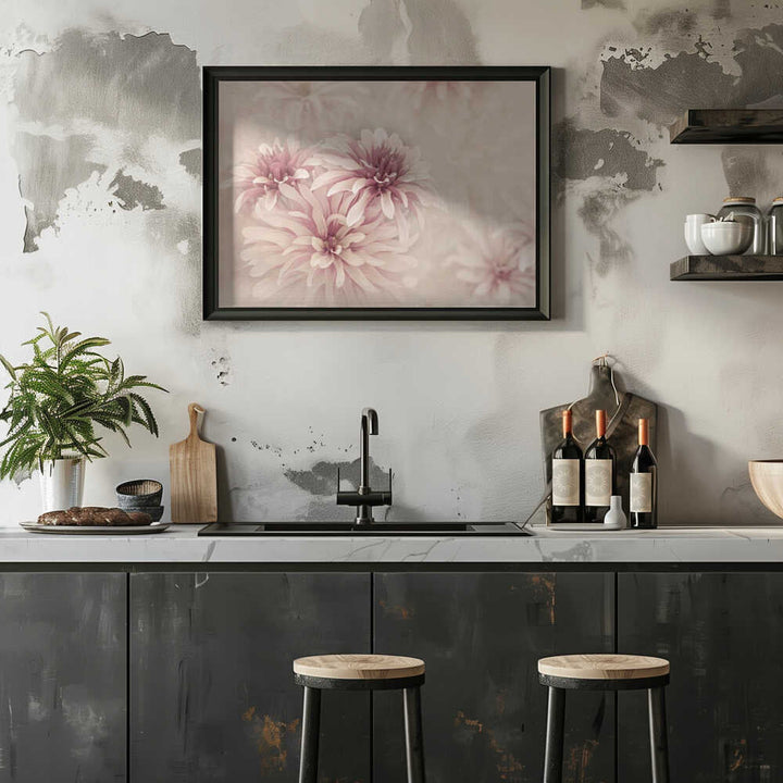 Soft Pink Dahlias - Floral Photographic Stretched Canvas Poster or Fine Art Print