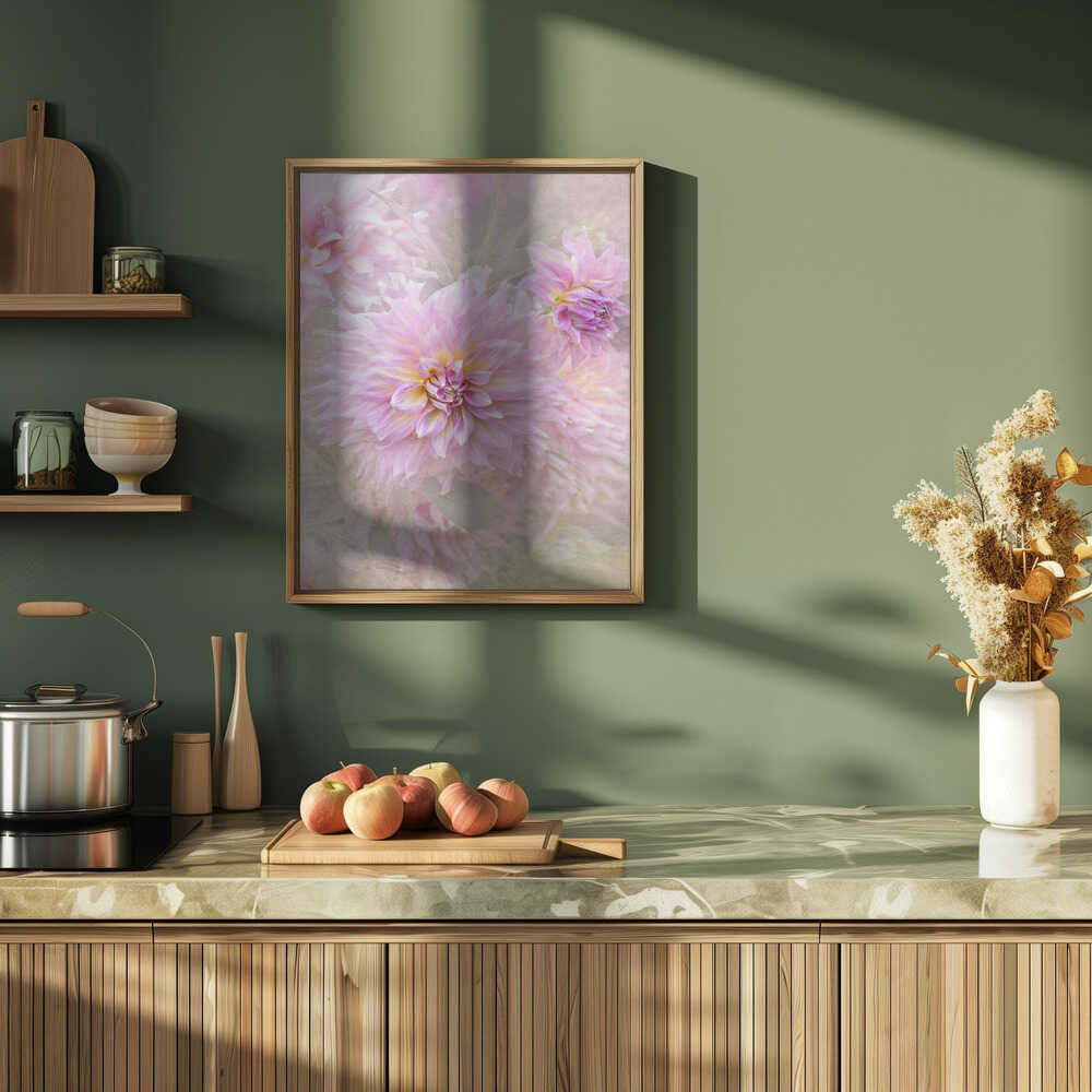 Soft Pink Dahlias - Floral Photographic Stretched Canvas Poster or Fine Art Print
