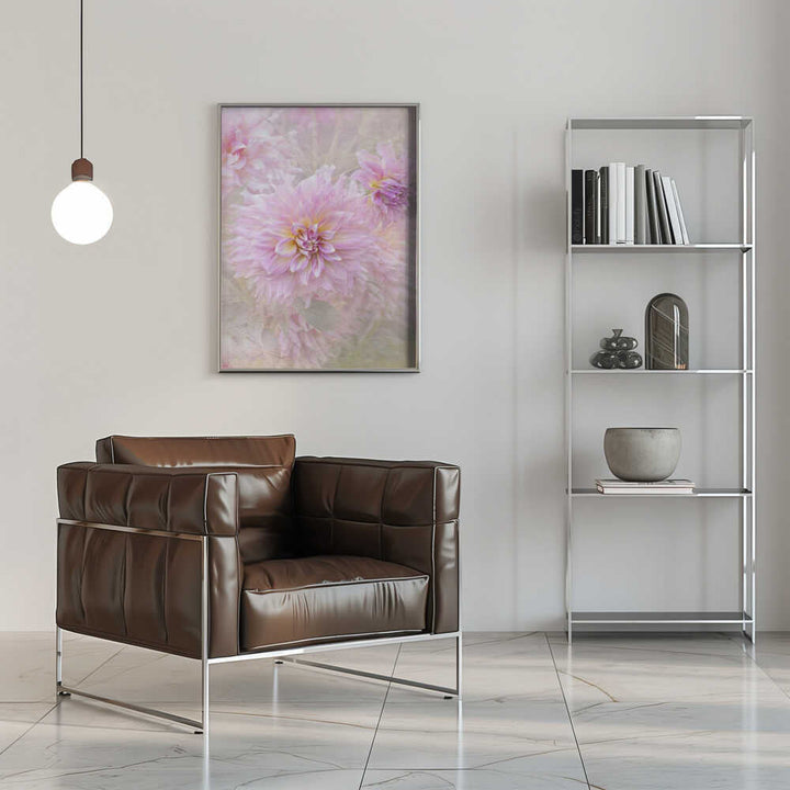 Soft Pink Dahlias - Floral Photographic Stretched Canvas Poster or Fine Art Print