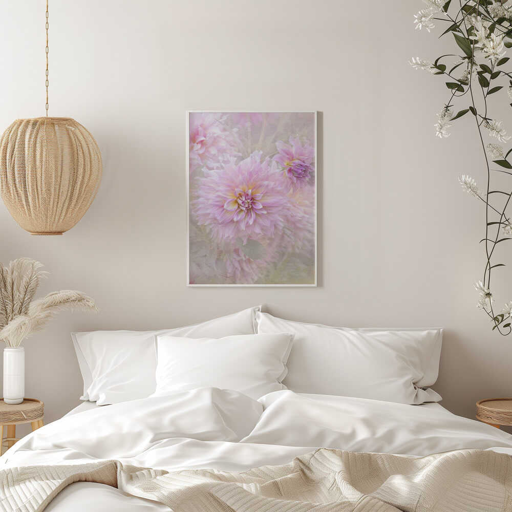 Soft Pink Dahlias - Floral Photographic Stretched Canvas Poster or Fine Art Print