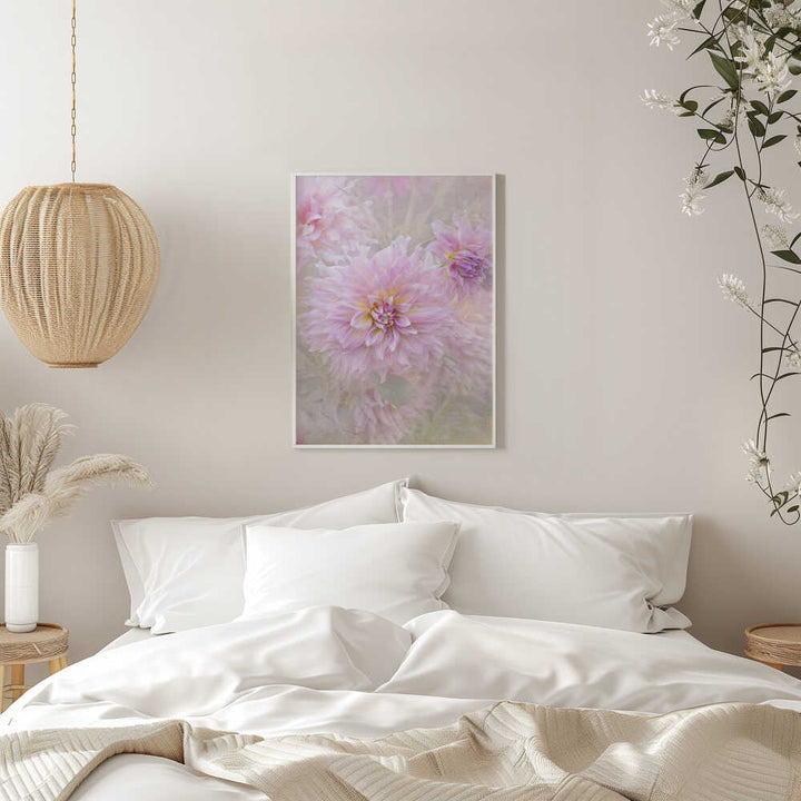 Soft Pink Dahlias - Floral Photographic Stretched Canvas Poster or Fine Art Print