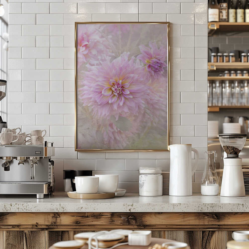 Soft Pink Dahlias - Floral Photographic Stretched Canvas Poster or Fine Art Print