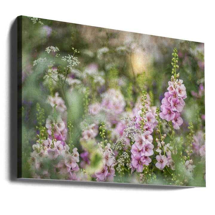 Soft Pink Garden Flowers - Floral Photographic Stretched Canvas Poster or Fine Art Print