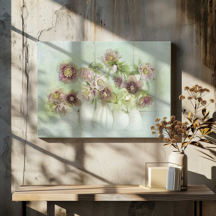Soft Pink Hellebores - Floral Photographic Stretched Canvas Poster or Fine Art Print