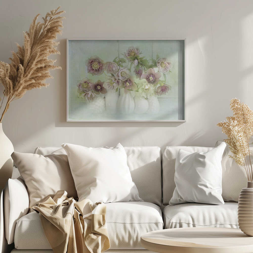 Soft Pink Hellebores - Floral Photographic Stretched Canvas Poster or Fine Art Print