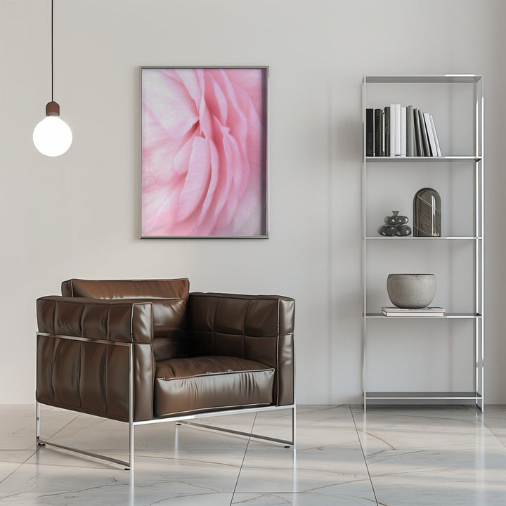 Soft pink petals - Stretched Canvas, Poster or Fine Art Print I Heart Wall Art