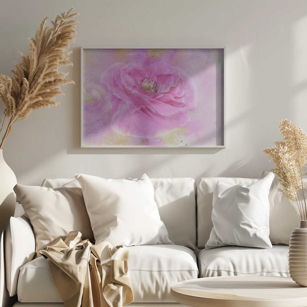 Soft Pink Poppy Bloom - Floral Photographic Stretched Canvas Poster or Fine Art Print