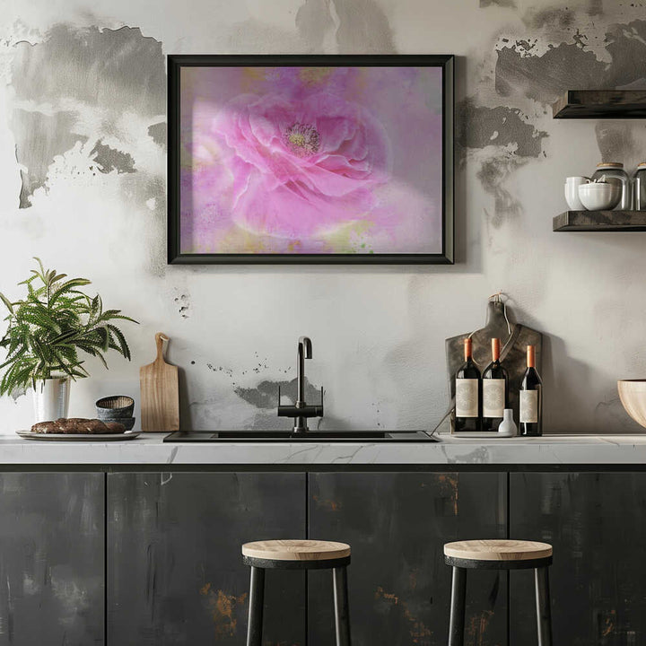 Soft Pink Poppy Bloom - Floral Photographic Stretched Canvas Poster or Fine Art Print