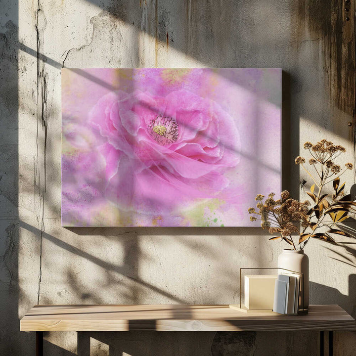 Soft Pink Poppy Bloom - Floral Photographic Stretched Canvas Poster or Fine Art Print