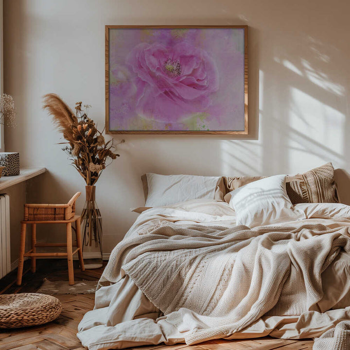 Soft Pink Poppy Bloom - Floral Photographic Stretched Canvas Poster or Fine Art Print