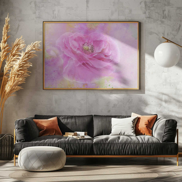 Soft Pink Poppy Bloom - Floral Photographic Stretched Canvas Poster or Fine Art Print