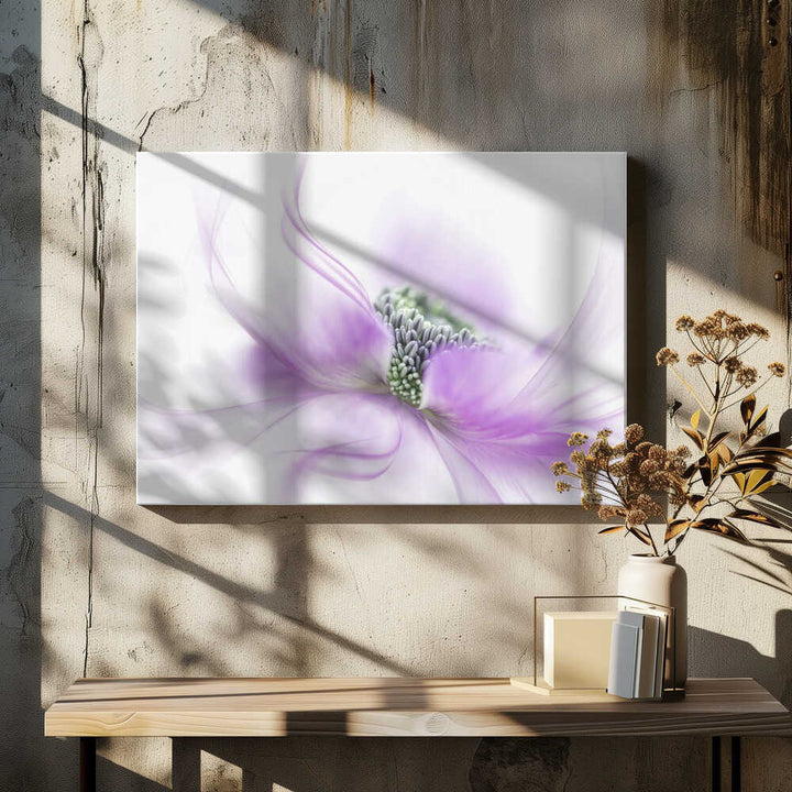 Soft Purple Bloom - Floral Photographic Stretched Canvas Poster or Fine Art Print